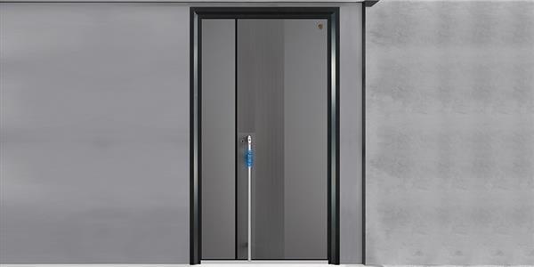 S17 精雕装甲门 高级银灰